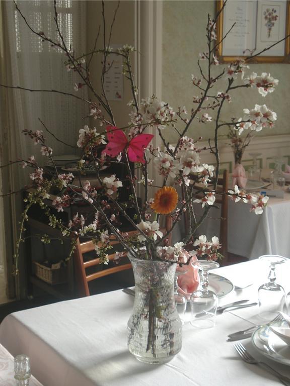 Hotel Castel Regina Châtel-Guyon Zewnętrze zdjęcie